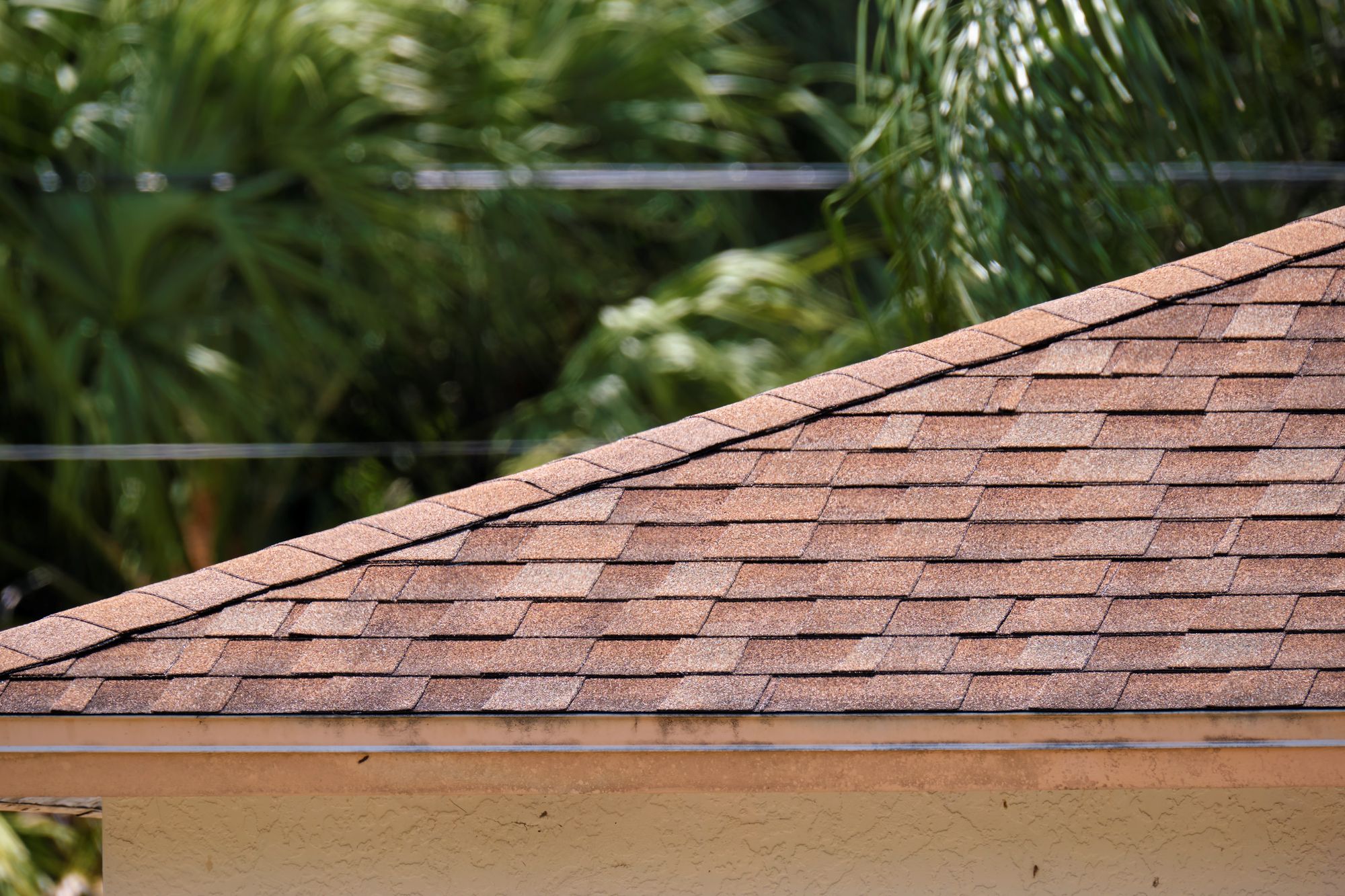 Shingle roofing repair in Everett