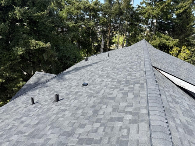 Everett roof inspection and roofing estimate
