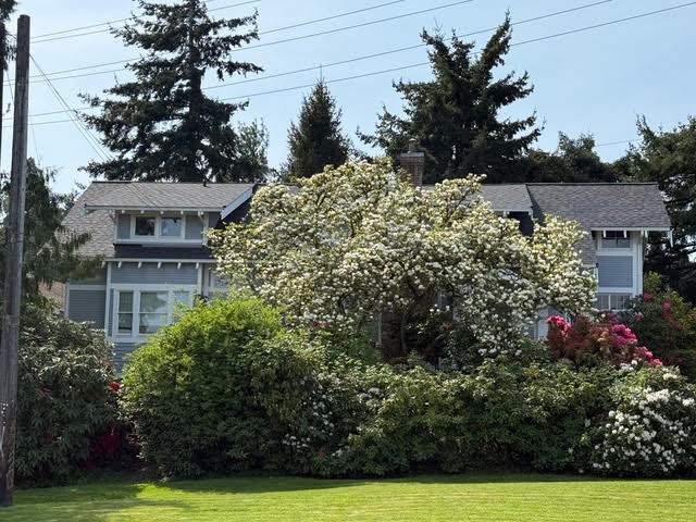 Residential roofing services in Everett Washington